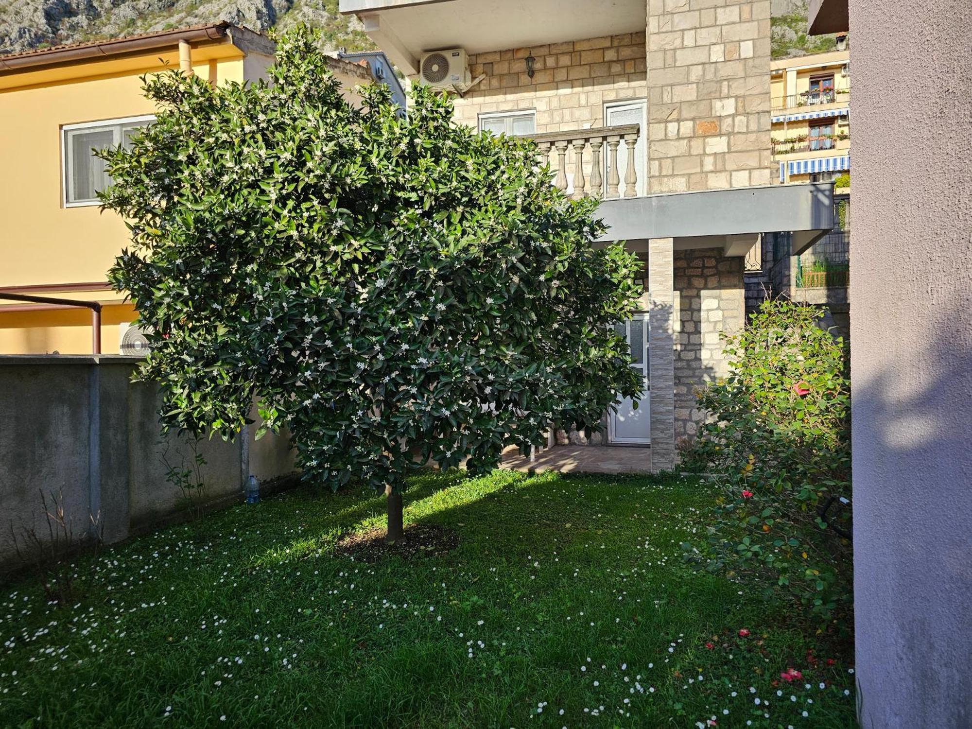 Appartement Modern Seaside Escape - Stunning Sea View - Private & Stylish à Kotor Extérieur photo